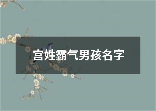 宫姓霸气男孩名字