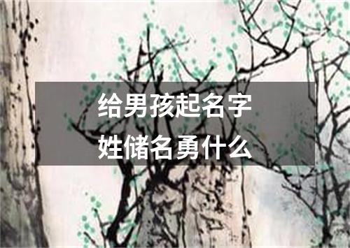 给男孩起名字姓储名勇什么