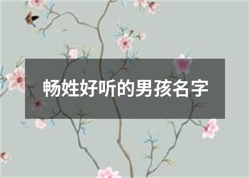 畅姓好听的男孩名字