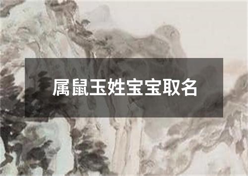 属鼠玉姓宝宝取名