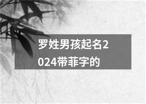 罗姓男孩起名2024带菲字的