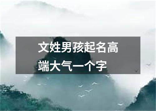 文姓男孩起名高端大气一个字