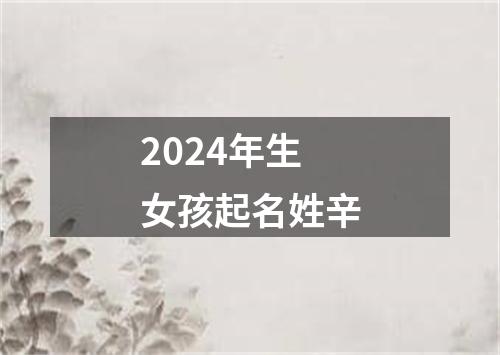 2024年生女孩起名姓辛