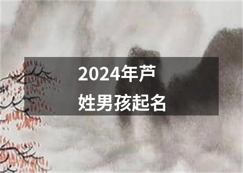 2024年芦姓男孩起名