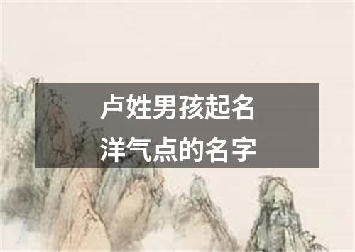 卢姓男孩起名洋气点的名字