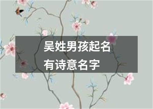 吴姓男孩起名有诗意名字