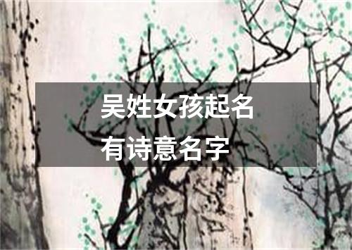 吴姓女孩起名有诗意名字