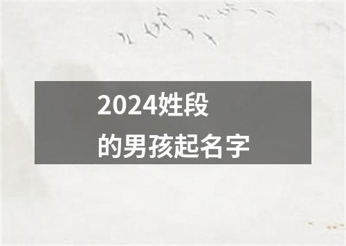 2024姓段的男孩起名字