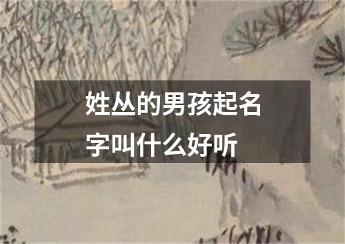 姓丛的男孩起名字叫什么好听