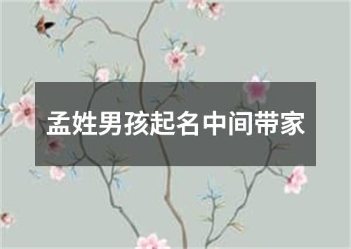 孟姓男孩起名中间带家