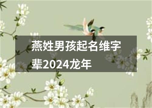 燕姓男孩起名维字辈2024龙年