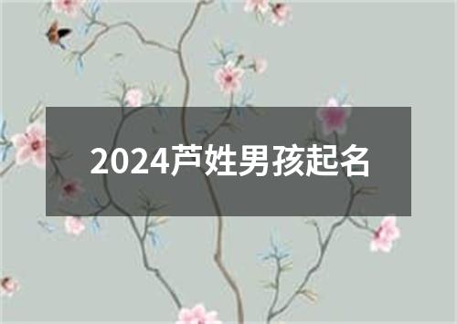 2024芦姓男孩起名