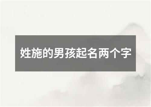 姓施的男孩起名两个字