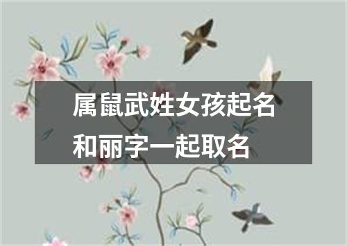 属鼠武姓女孩起名和丽字一起取名