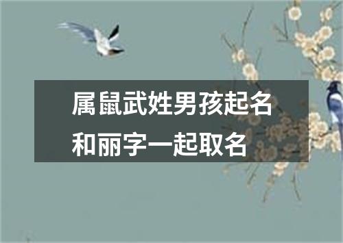 属鼠武姓男孩起名和丽字一起取名