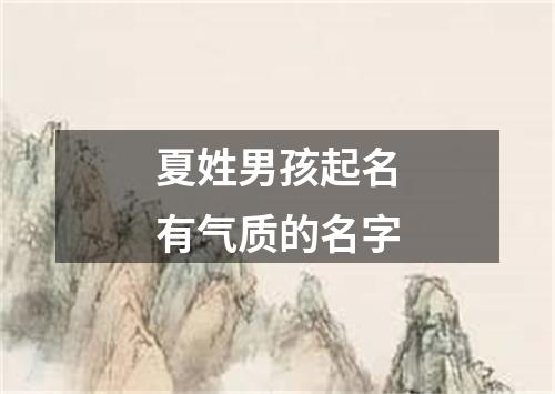 夏姓男孩起名有气质的名字