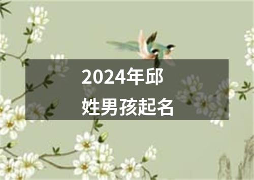 2024年邱姓男孩起名