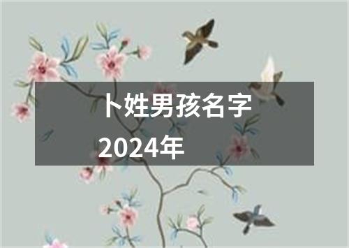 卜姓男孩名字2024年