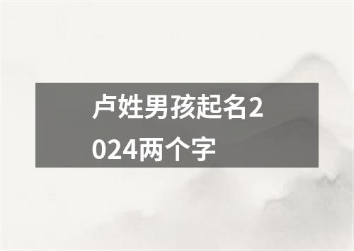 卢姓男孩起名2024两个字