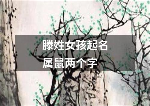 滕姓女孩起名属鼠两个字