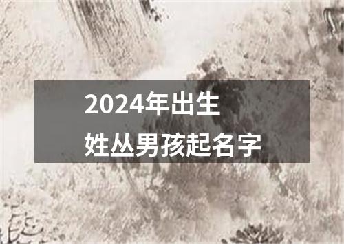 2024年出生姓丛男孩起名字