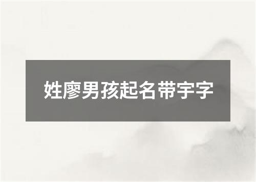 姓廖男孩起名带宇字