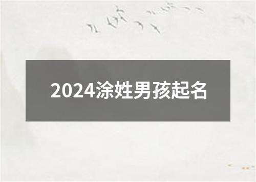 2024涂姓男孩起名