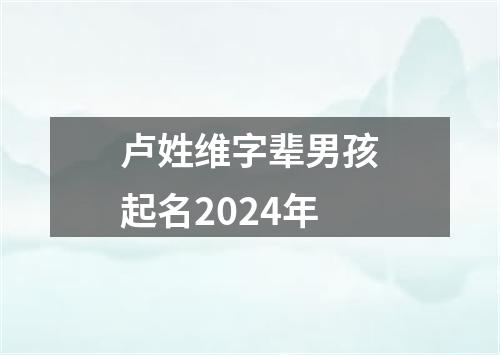 卢姓维字辈男孩起名2024年