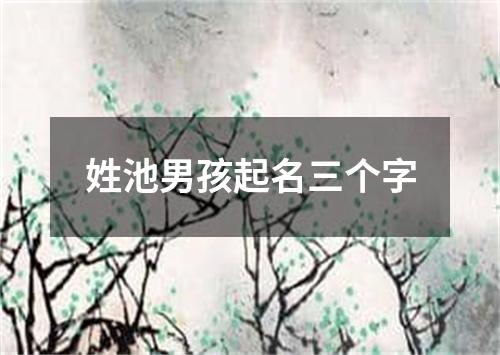 姓池男孩起名三个字