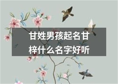 甘姓男孩起名甘梓什么名字好听