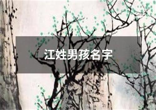 江姓男孩名字