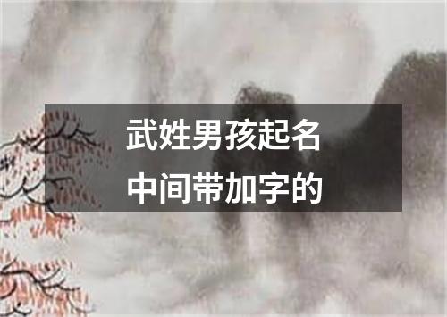 武姓男孩起名中间带加字的