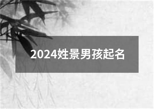 2024姓景男孩起名