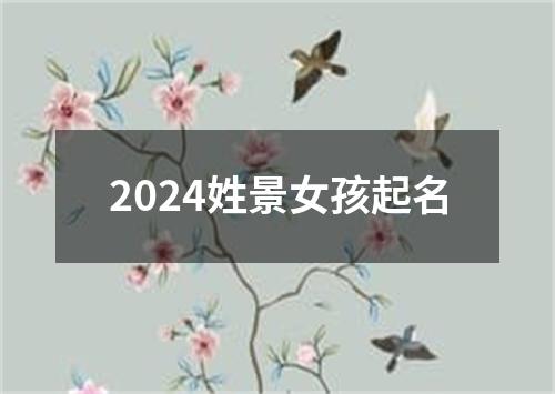 2024姓景女孩起名