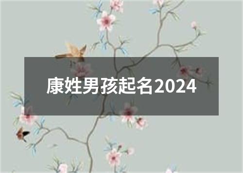 康姓男孩起名2024