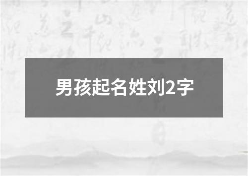 男孩起名姓刘2字