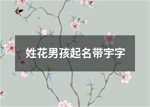 姓花男孩起名带宇字