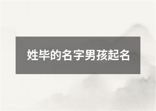 姓毕的名字男孩起名