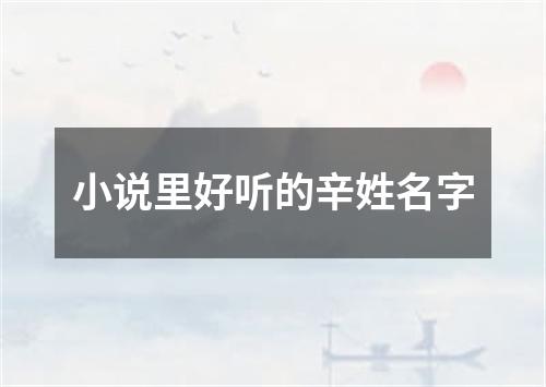 小说里好听的辛姓名字