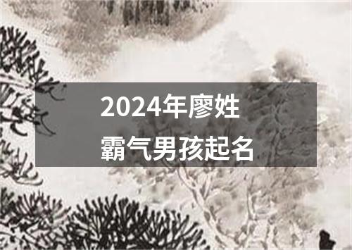 2024年廖姓霸气男孩起名