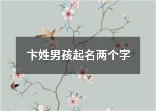 卞姓男孩起名两个字