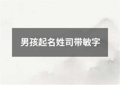 男孩起名姓司带敏字