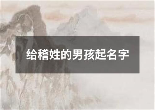 给稽姓的男孩起名字