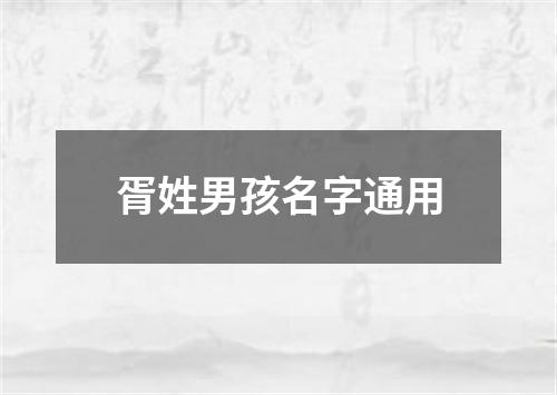 胥姓男孩名字通用