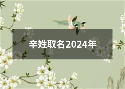 辛姓取名2024年