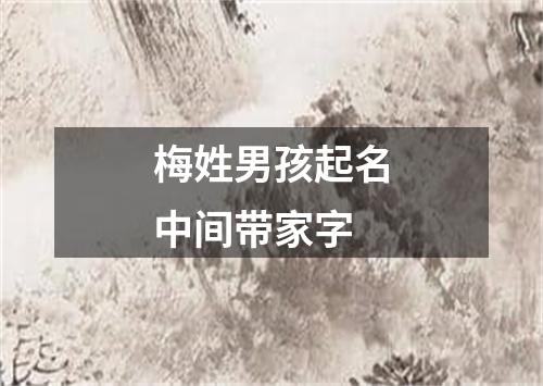 梅姓男孩起名中间带家字