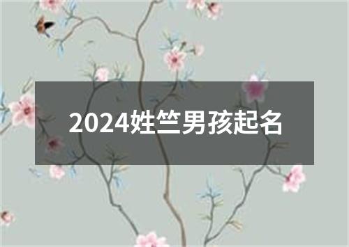 2024姓竺男孩起名