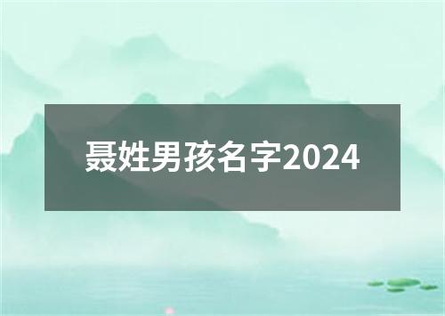 聂姓男孩名字2024