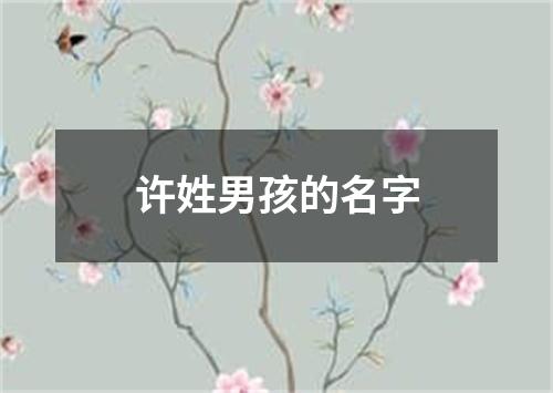 许姓男孩的名字