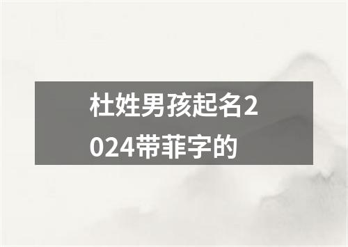 杜姓男孩起名2024带菲字的